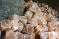 Pile of Rock Salt Lamps Royalty Free Stock Photo